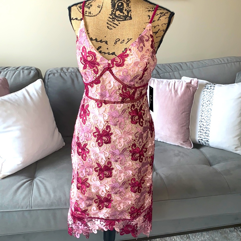 NWT Lulus tri-color pink lace dress!